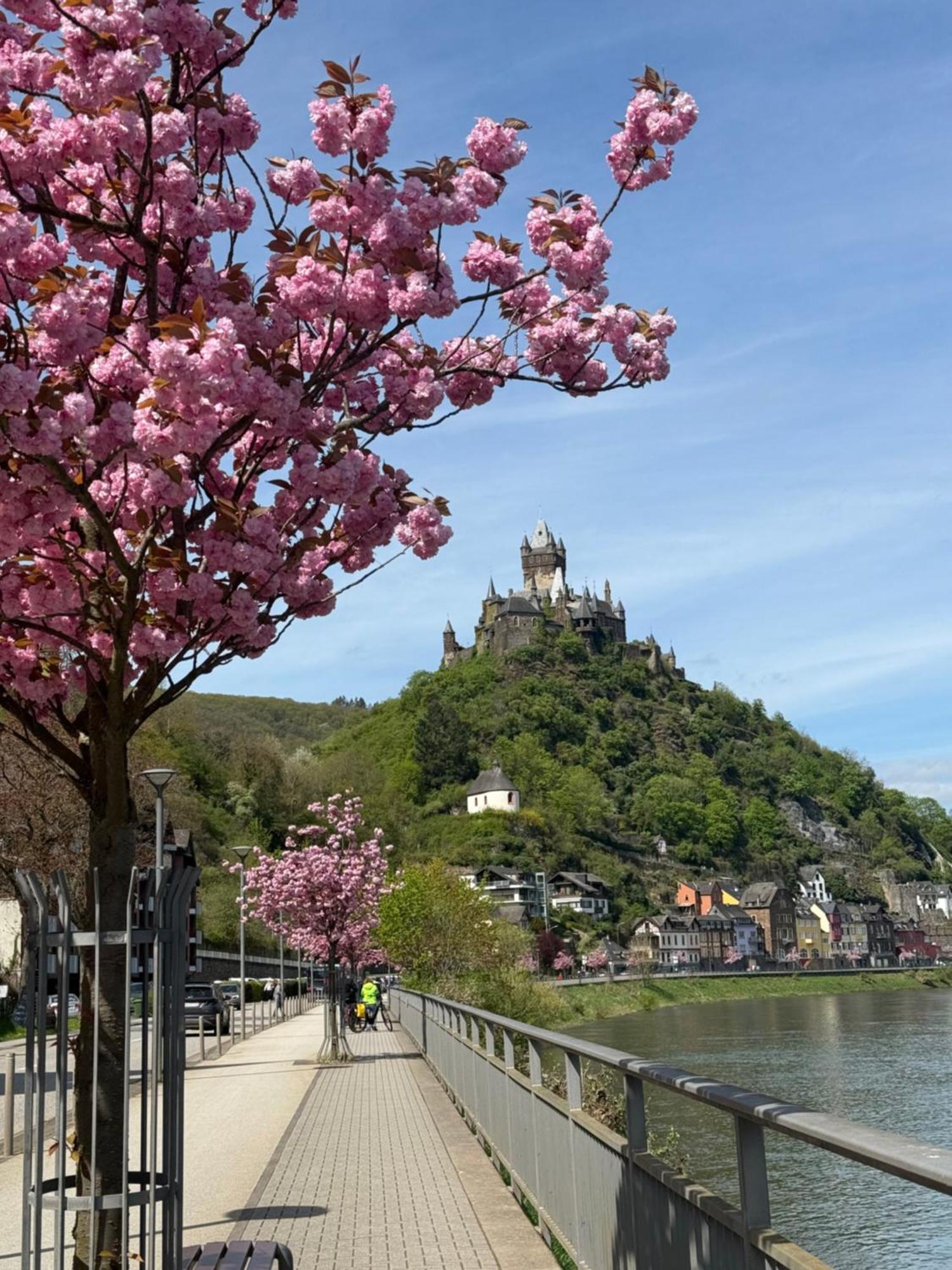 Appartamento Haus Rubi Cochem Esterno foto